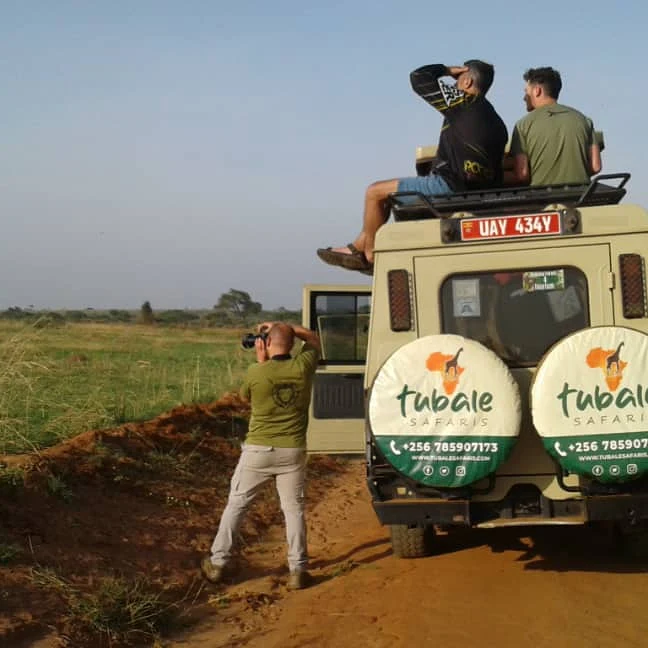 Uganda birding safari