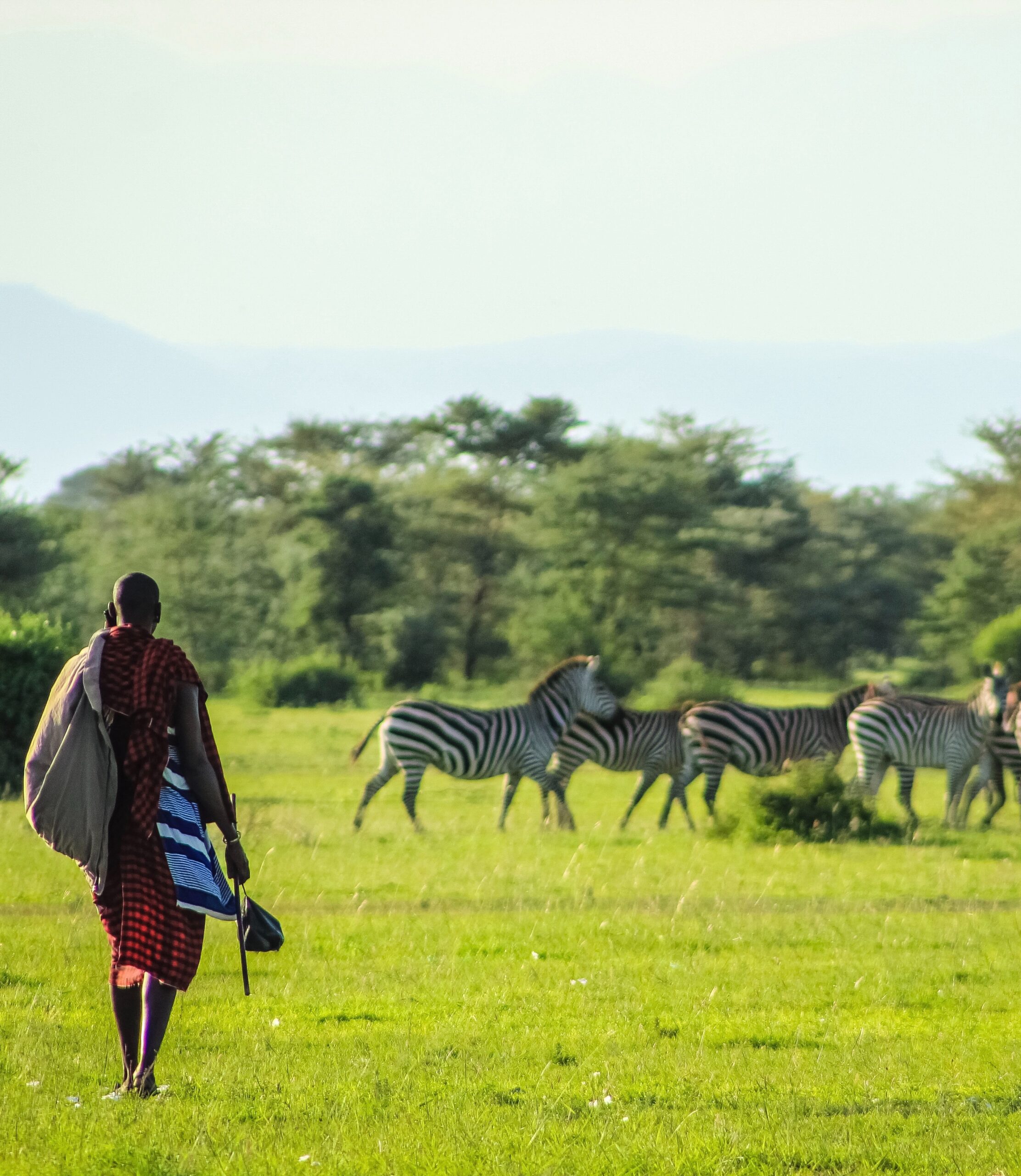 Kenya Safaris