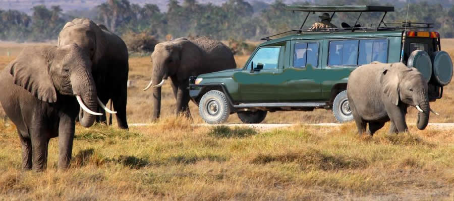 Uganda Rwanda Kenya Tour