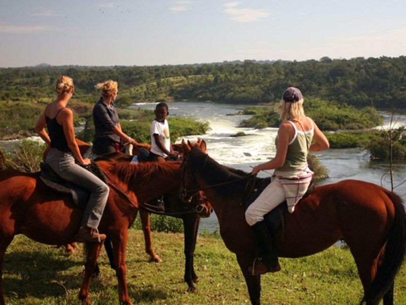 Horse Riding in jinja