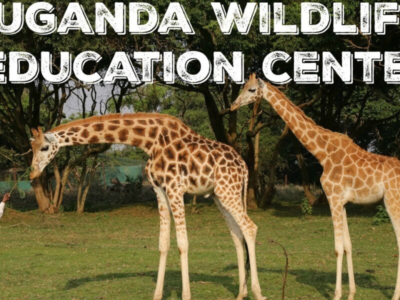 Uganda Wildlife Conservation Education Center