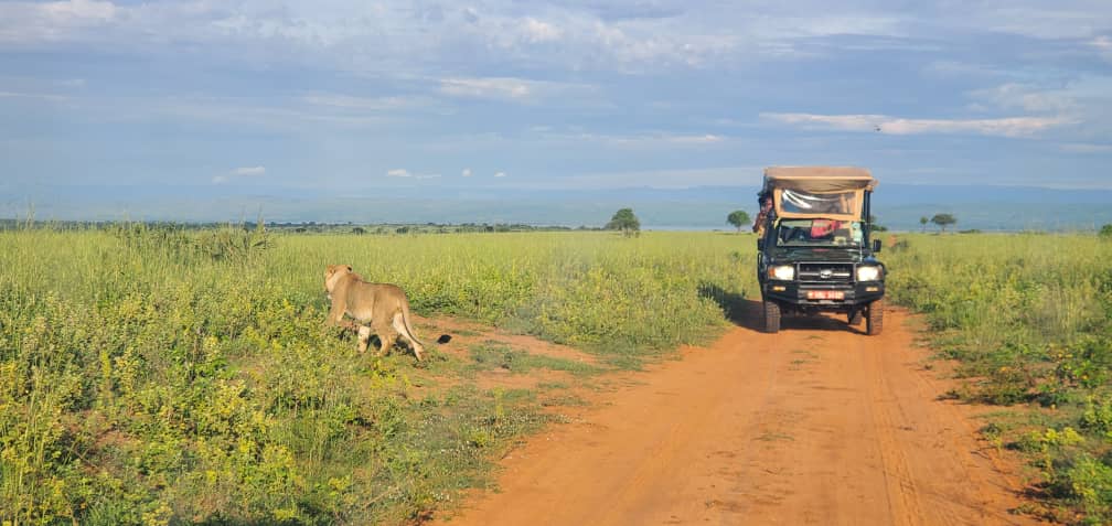 Tubale Safaris Uganda