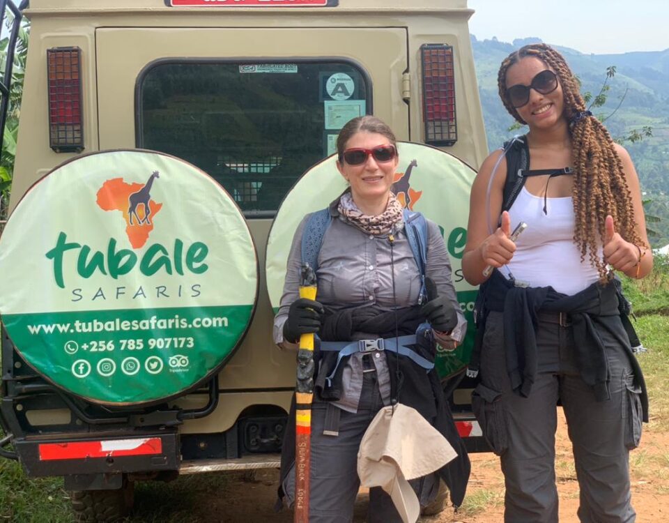 Do I Need Insect Repellent for Rwanda Gorilla Trekking?