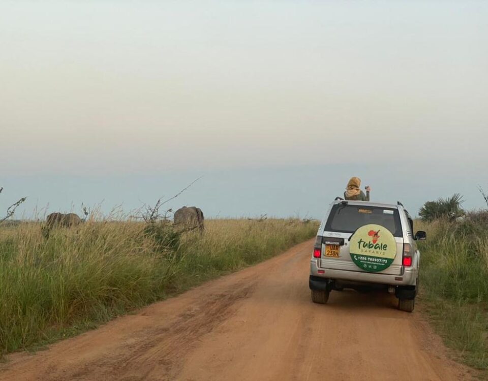Tanzania Africa Travel