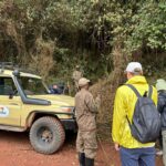 Uganda Gorilla Trekking Safari