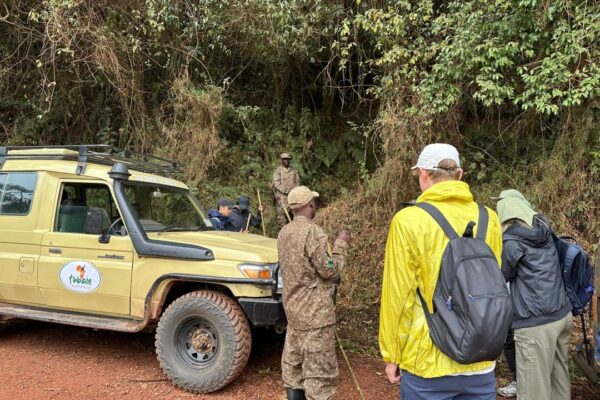 Uganda Gorilla Trekking