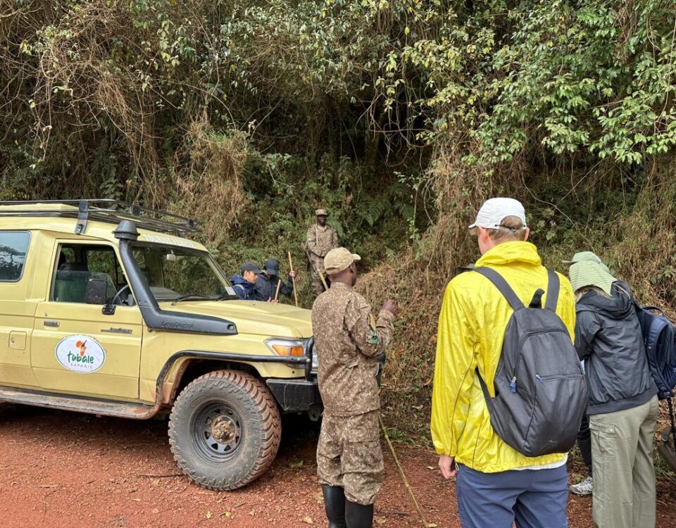 Uganda Gorilla Trekking Safari