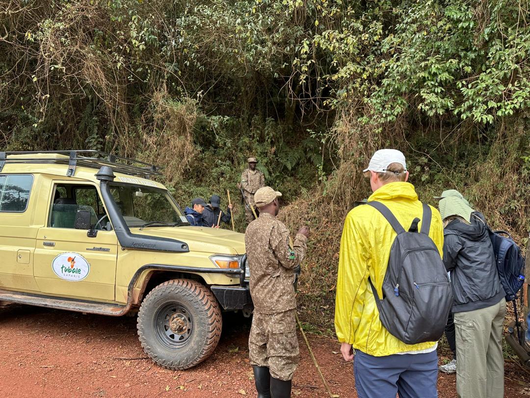 Uganda Gorilla Trekking