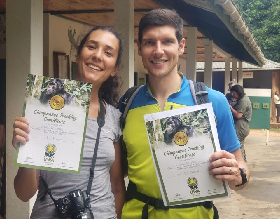 Chimpanzee Tracking in Uganda