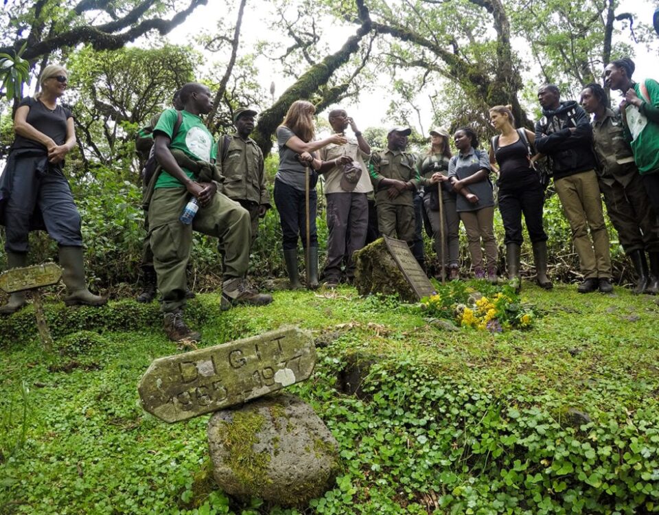 Do I Need Hiking Boots for Rwanda Gorilla Trekking?
