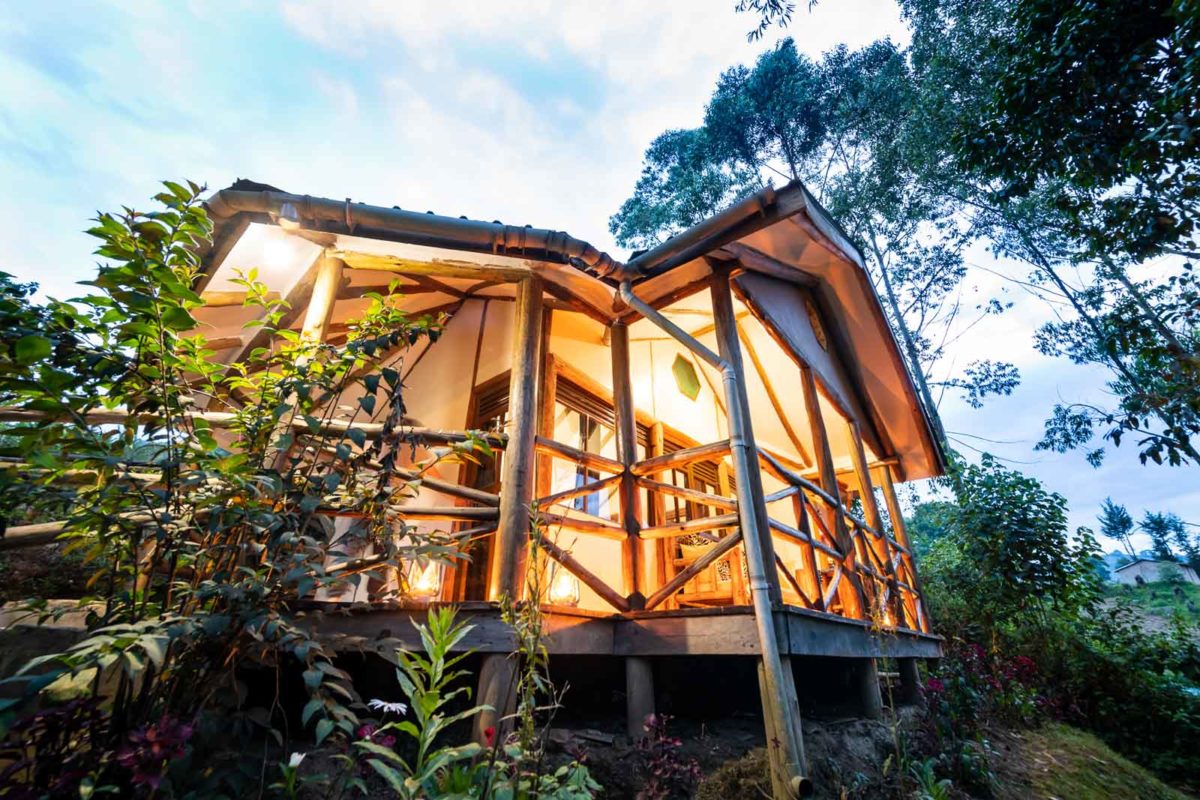 Are Luxury Lodges Available Near the Bwindi Impenetrable Forest?