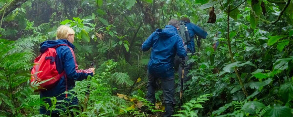 Hiking to the Tombs of Dian Fossey