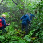 Hiking to the Tombs of Dian Fossey