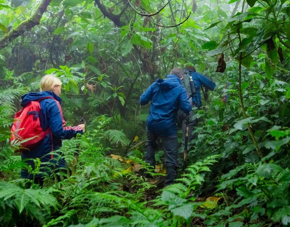 Hiking to the Tombs of Dian Fossey