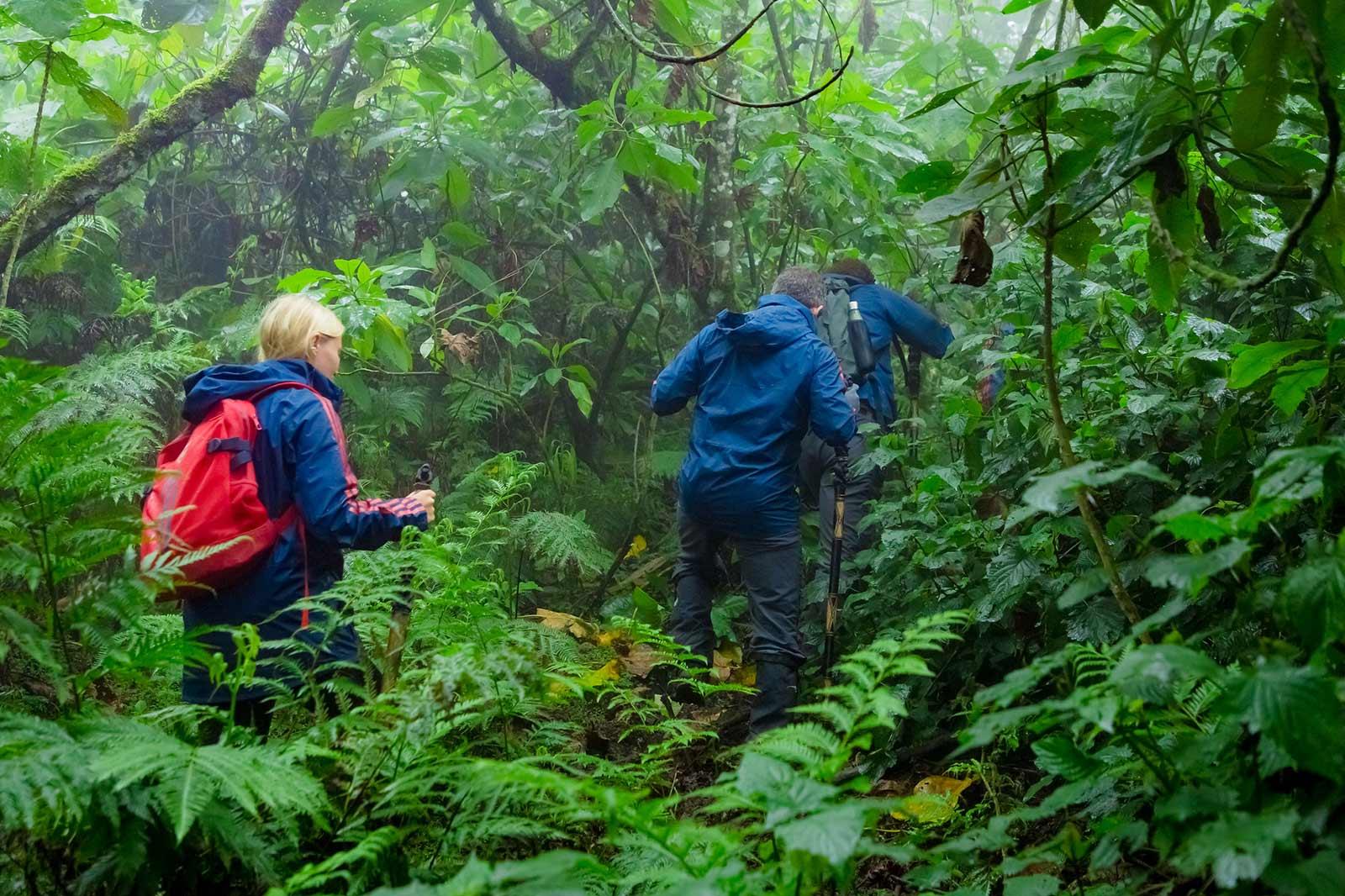 Hiking to the Tombs of Dian Fossey