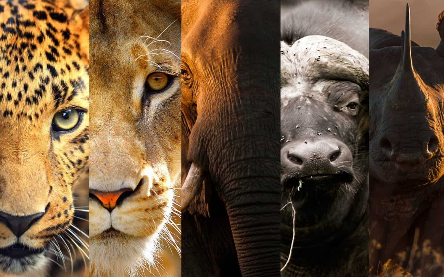 Queen Elizabeth National Park in Uganda