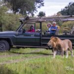 What to Prepare for a Family Safari in Uganda?