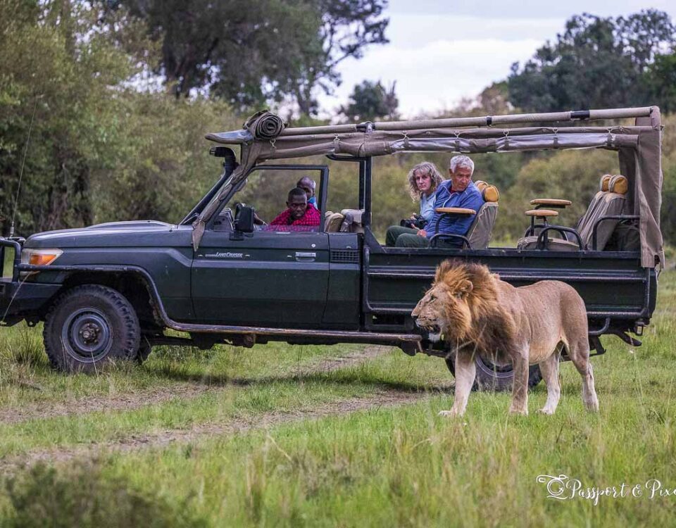 What to Prepare for a Family Safari in Uganda?