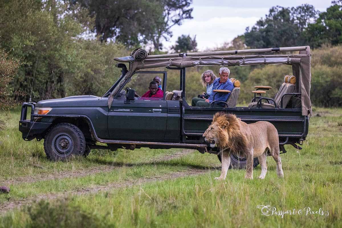 What to Prepare for a Family Safari in Uganda?