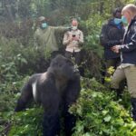 Are First Aid Kits Provided for Rwanda Gorilla Trekking?