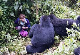 Are First Aid Kits Provided for Rwanda Gorilla Trekking?
