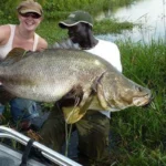 Nile Perch Fishing in Murchison Falls