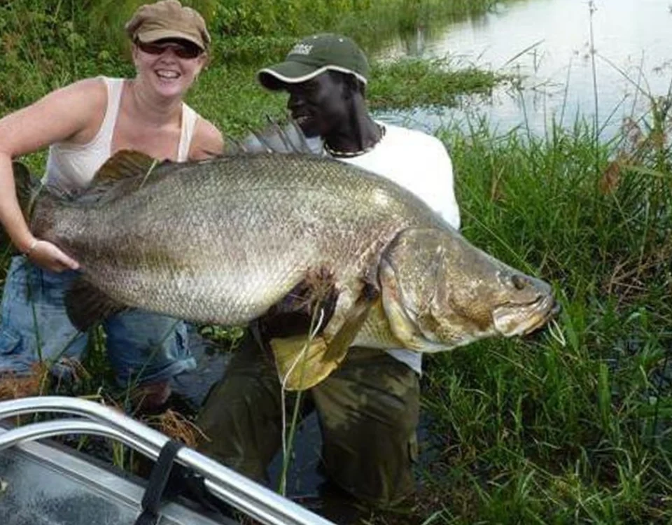 Nile Perch Fishing in Murchison Falls