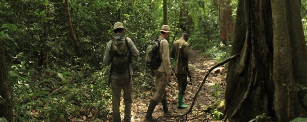 Guided Nature Walk in Semuliki National Park