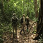 Guided Nature Walk in Semuliki National Park