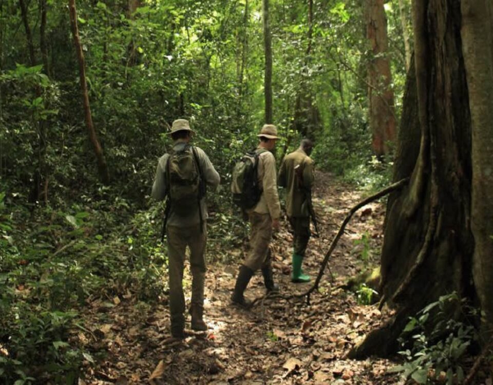 Guided Nature Walk in Semuliki National Park