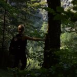 Guided Nature Walks in Bwindi Forest