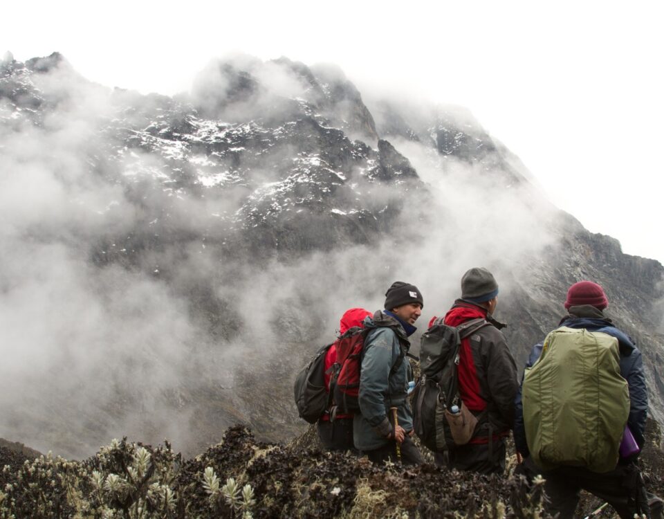 Hike the Rwenzori Mountains