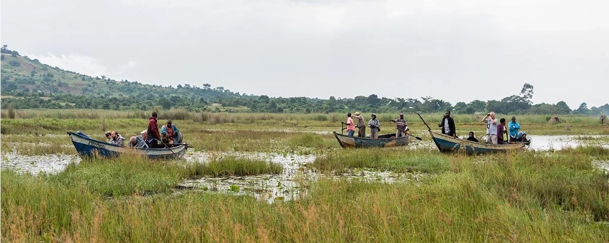 Mabamba Swamp Tour in Uganda