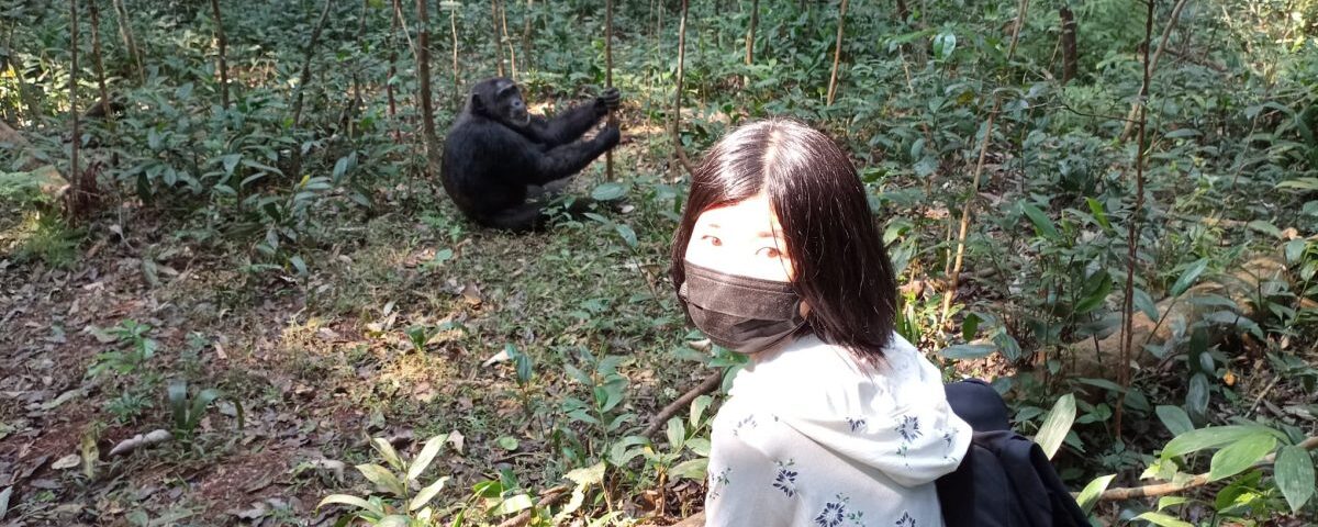 Mistakes To Avoid When Booking Chimp Habituation Permits