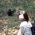 Mistakes To Avoid When Booking Chimp Habituation Permits