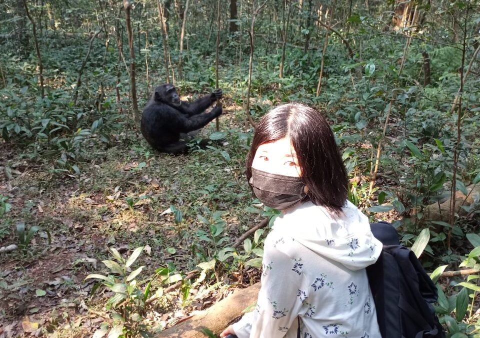 Mistakes To Avoid When Booking Chimp Habituation Permits