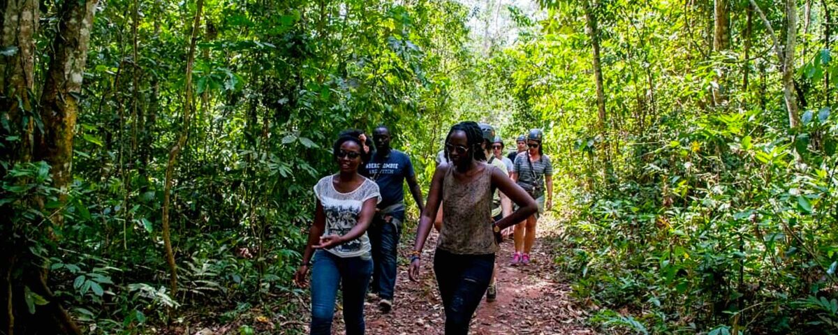 Nature Walk in Mabira Forest