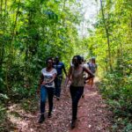 Nature Walk in Mabira Forest