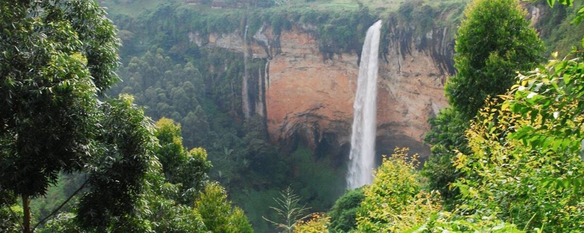 Sasa Trail Hike in Mount Elgon