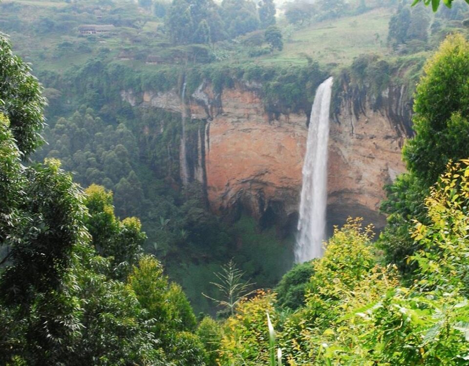 Sasa Trail Hike in Mount Elgon