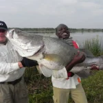 Sport Fishing on Lake Victoria