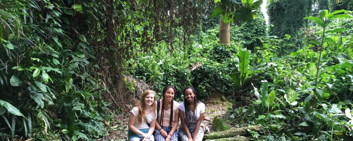 Visit Entebbe Botanical Gardens