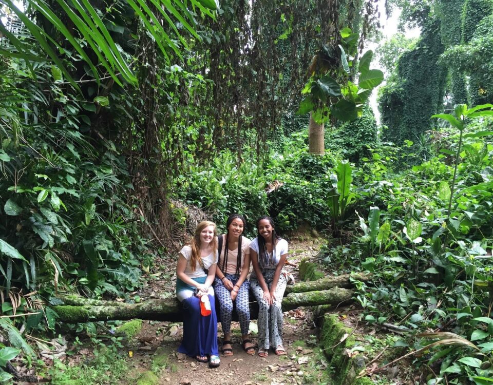 Visit Entebbe Botanical Gardens