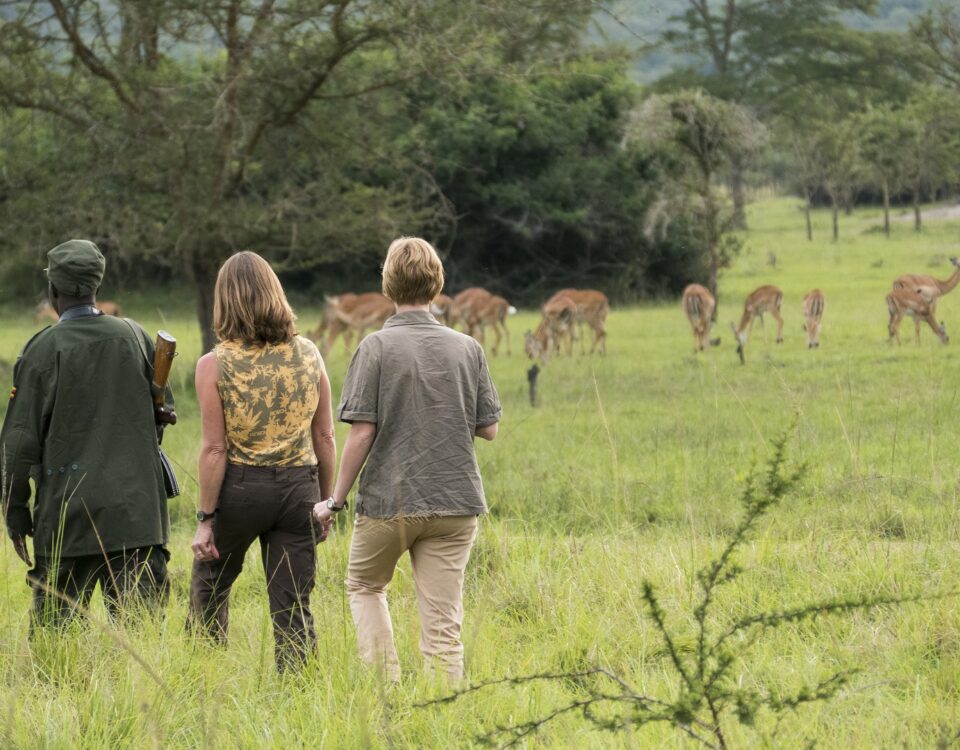 Walking Safari in Lake Mburo National Park