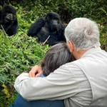 Honeymoon Gorilla Trekking Safari in Bwindi Impenetrable Forest National Park