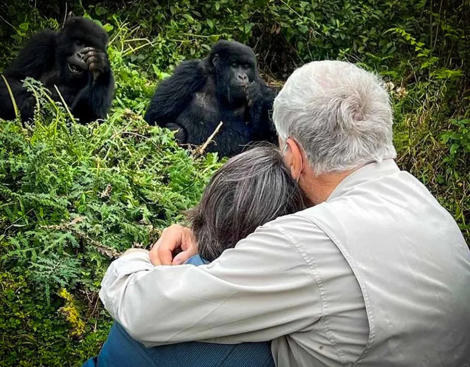 Honeymoon Gorilla Trekking Safari in Bwindi Impenetrable Forest National Park