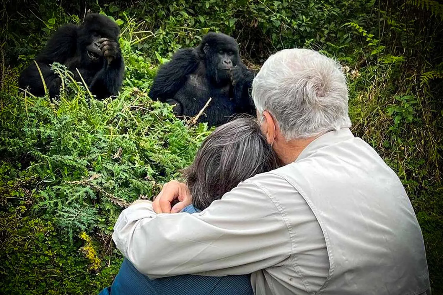 Honeymoon Gorilla Trekking Safari in Bwindi Impenetrable Forest National Park