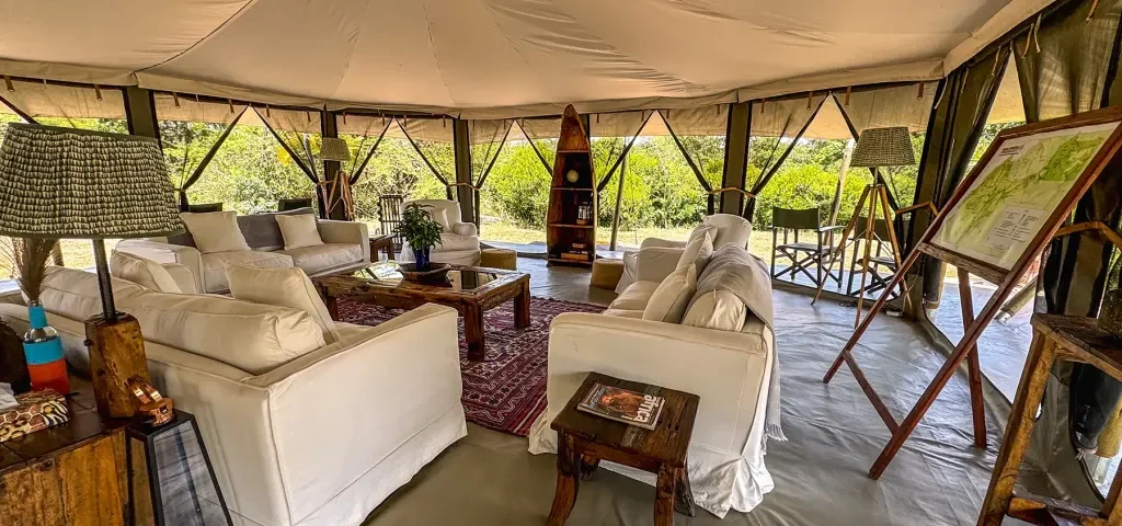 Are There Luxury and Budget Options for This Kind of Safari?