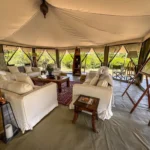 Are There Luxury and Budget Options for This Kind of Safari?