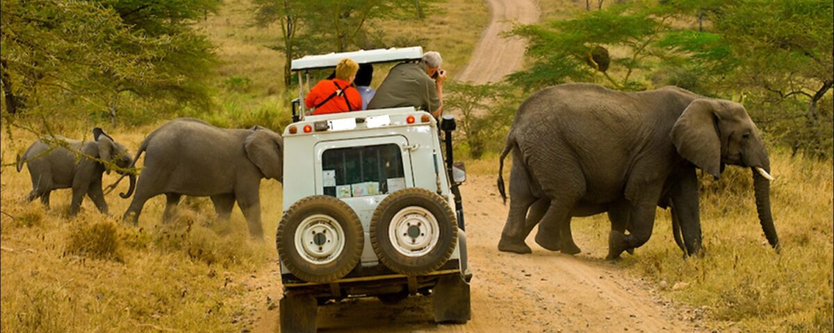 Are Uganda’s Game Drive Safaris Safe?